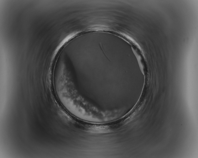 X0000087411325200705041240