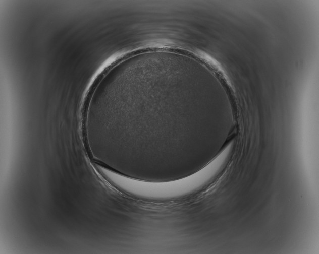 X0000087411326200705041240