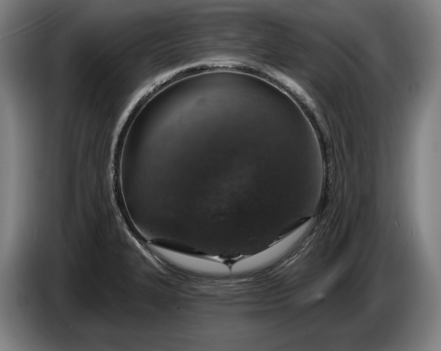 X0000087411327200705041240