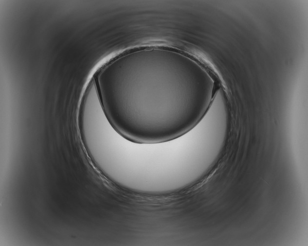 X0000087411328200705041240