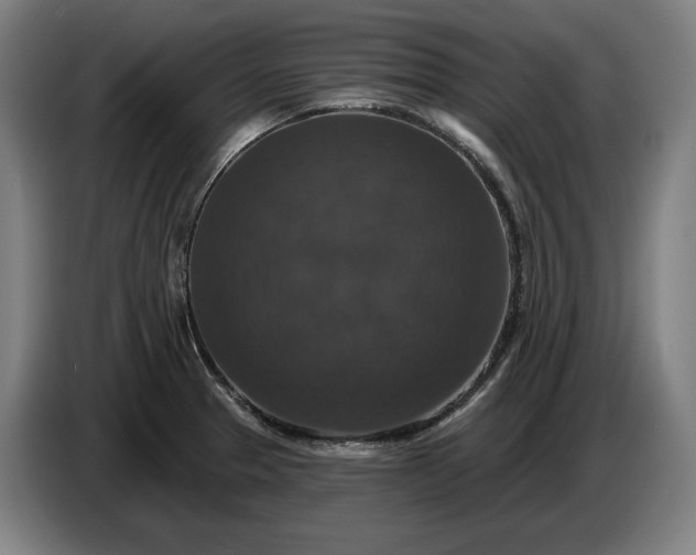 X0000087411329200705041240