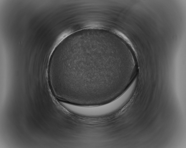 X0000087411330200705041240