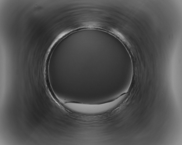 X0000087411331200705041240