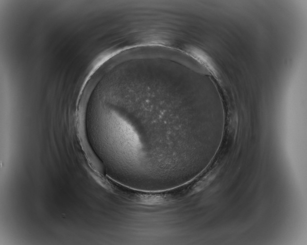 X0000087411332200705041240