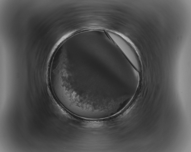 X0000087411333200705041240