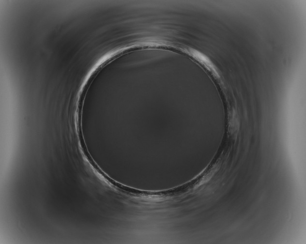 X0000087411334200705041240