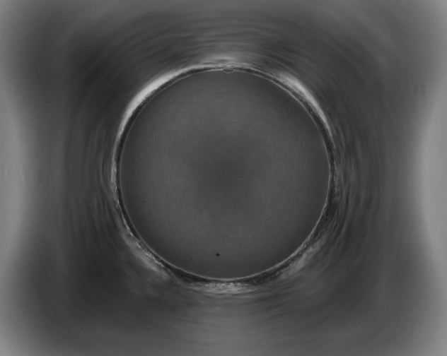 X0000087411336200705041240