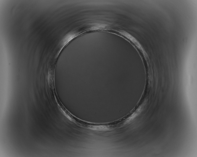 X0000087411337200705041240