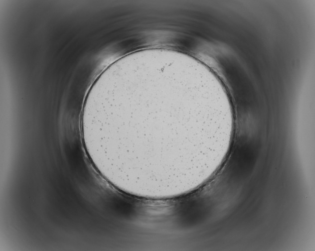 X0000087411338200705041240