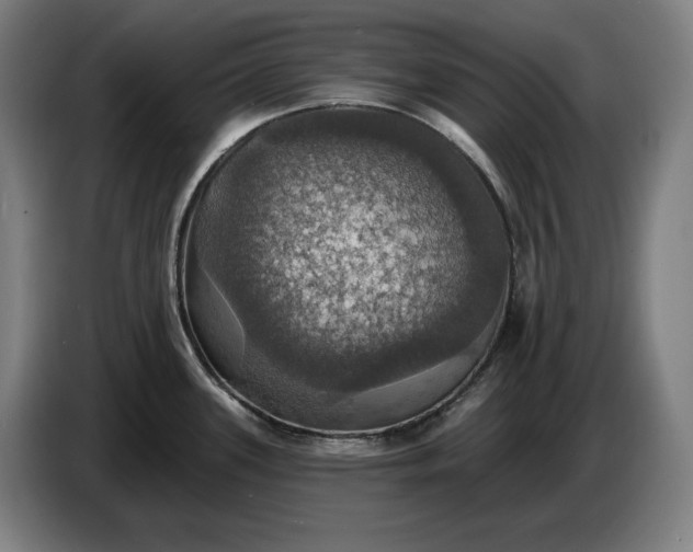 X0000087411339200705041240