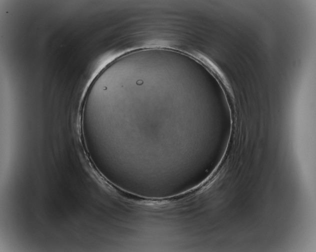 X0000087411340200705041240