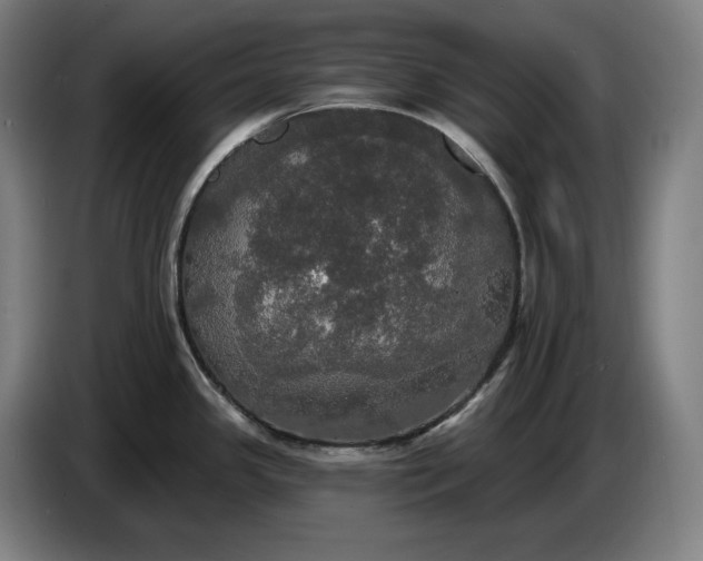 X0000087411341200705041240