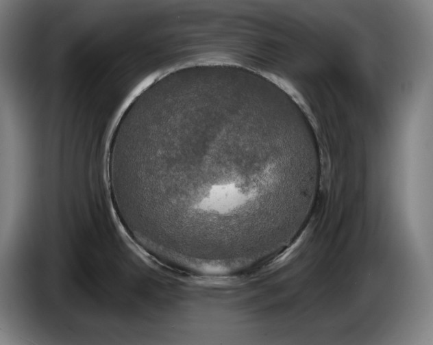 X0000087411342200705041240