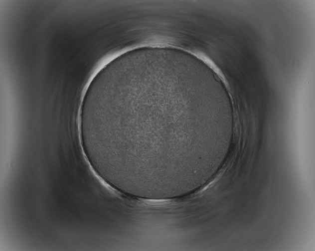 X0000087411343200705041240