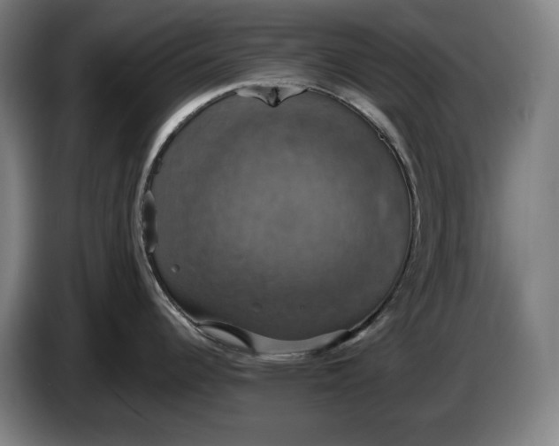 X0000087411344200705041240