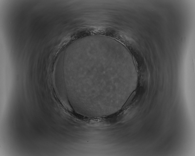 X0000087411345200705041240