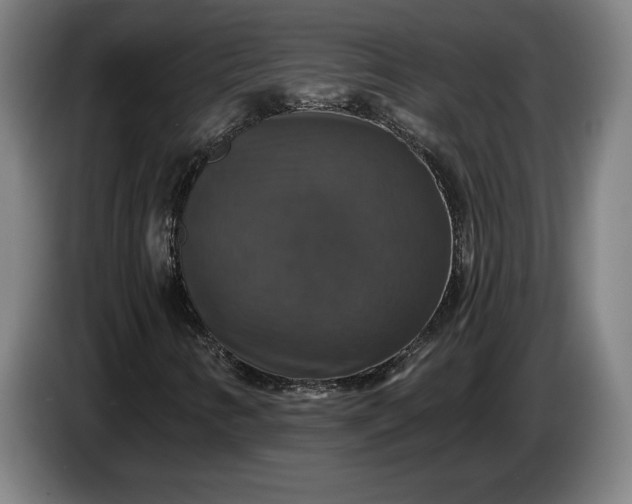 X0000087411346200705041240