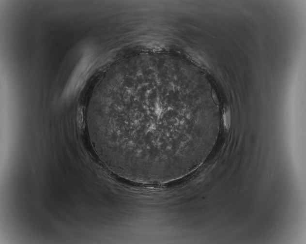 X0000087411347200705041240