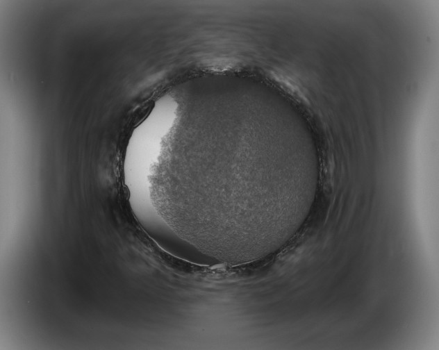 X0000087411349200705041240