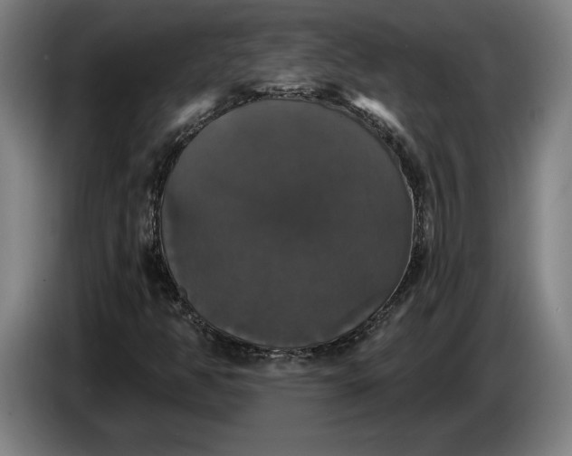 X0000087411350200705041240