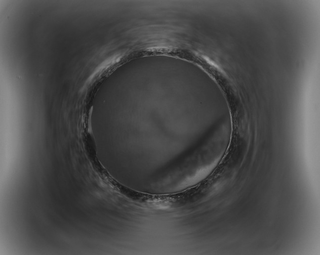 X0000087411351200705041240