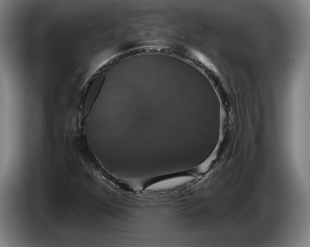 X0000087411352200705041240