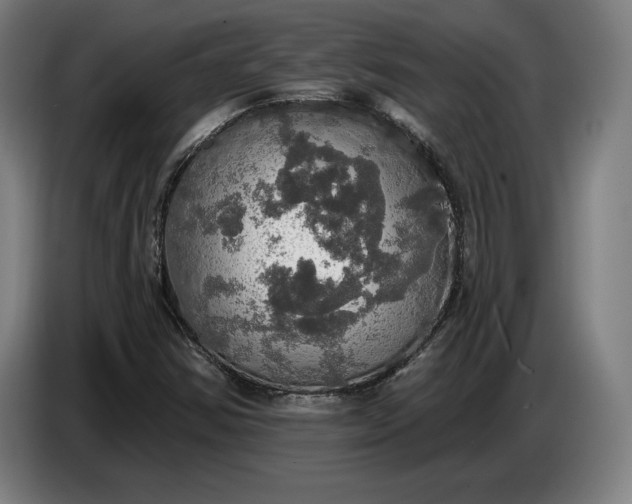 X0000087411354200705041240