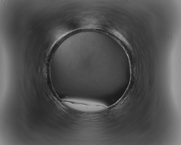 X0000087411356200705041239