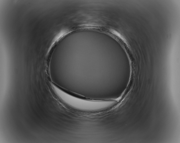 X0000087411357200705041239