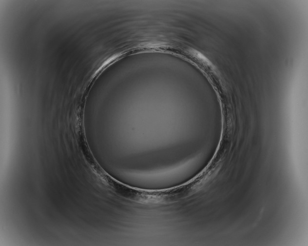 X0000087411361200705041239