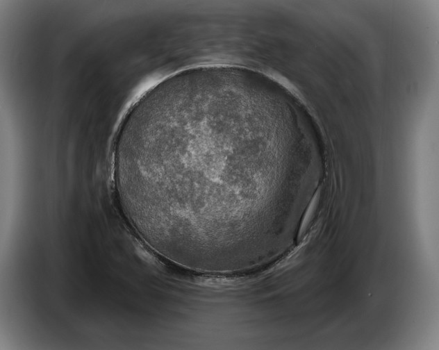 X0000087411366200705041239
