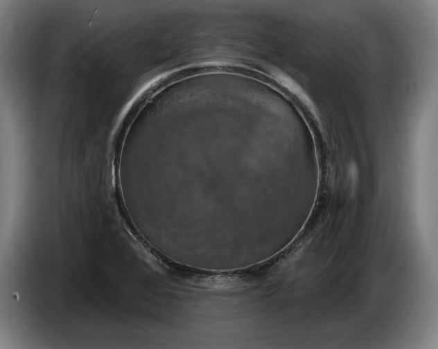 X0000087411368200705041239