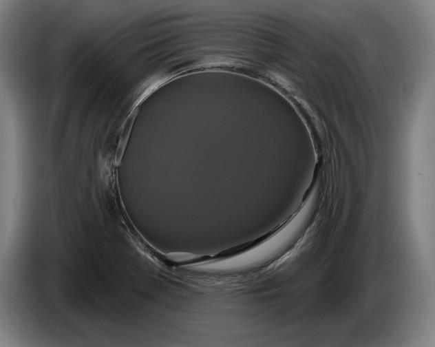 X0000087411369200705041239