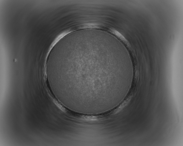 X0000087411370200705041239