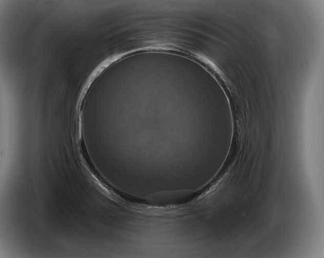 X0000087411371200705041239