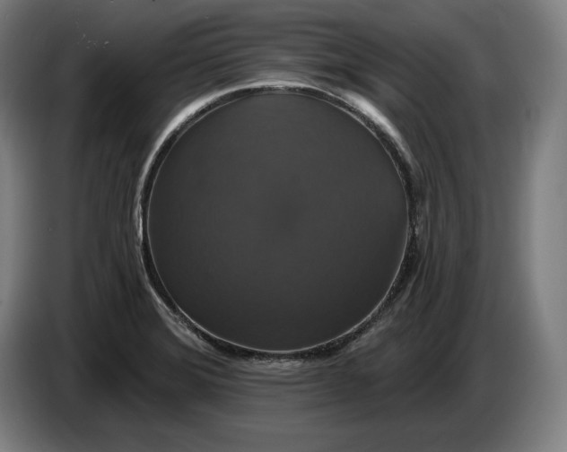 X0000087411372200705041239