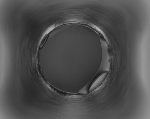 X0000087411373200705041239