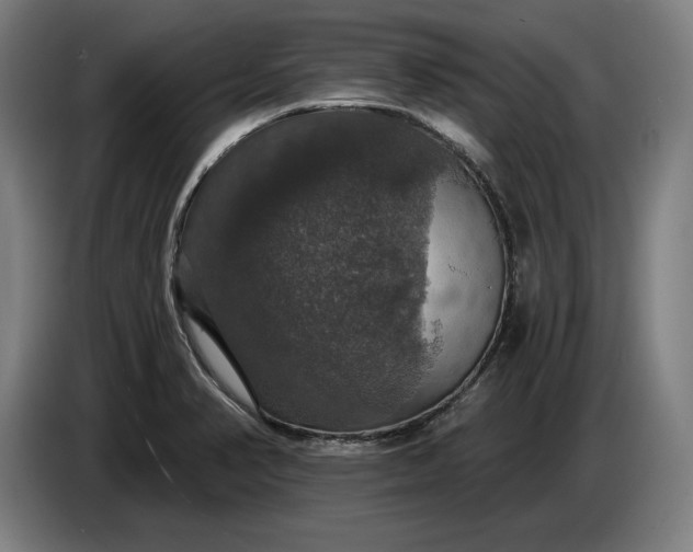 X0000087411374200705041239