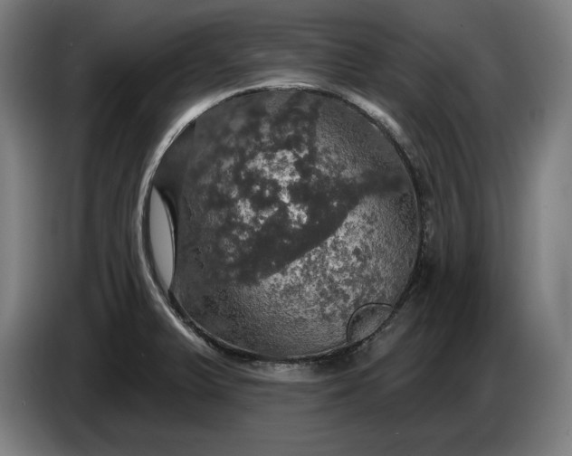 X0000087411375200705041239