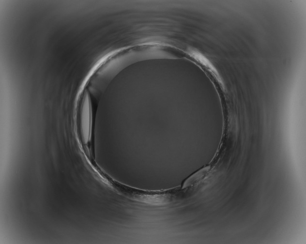 X0000087411376200705041239