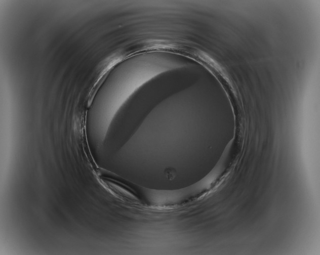 X0000087411377200705041239