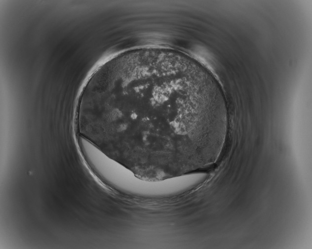 X0000087411379200705041239