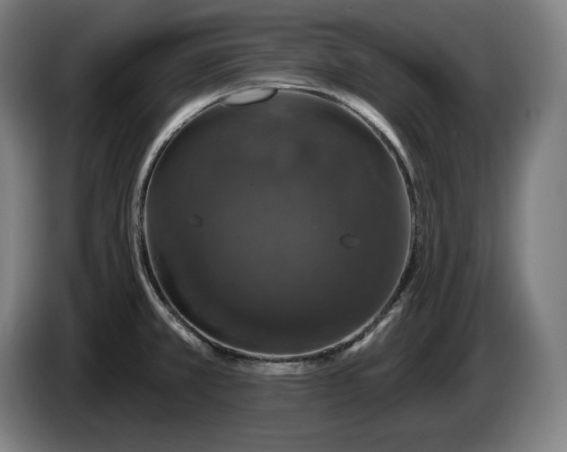 X0000087411381200705041239