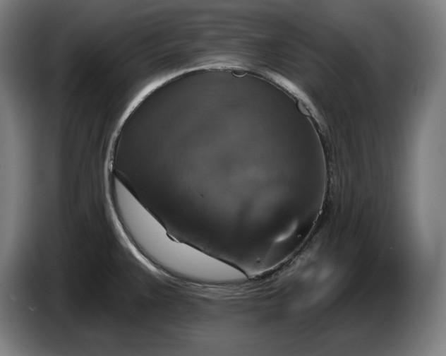 X0000087411383200705041239