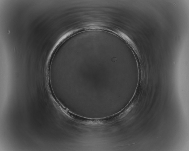 X0000087411384200705041239