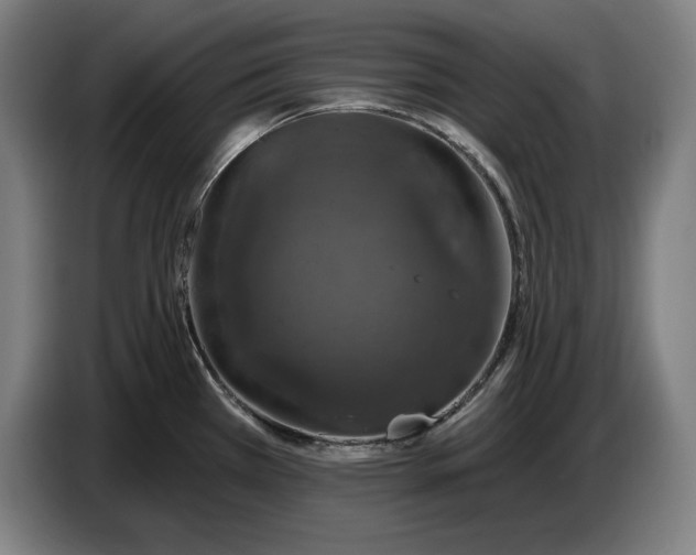 X0000087411385200705041239