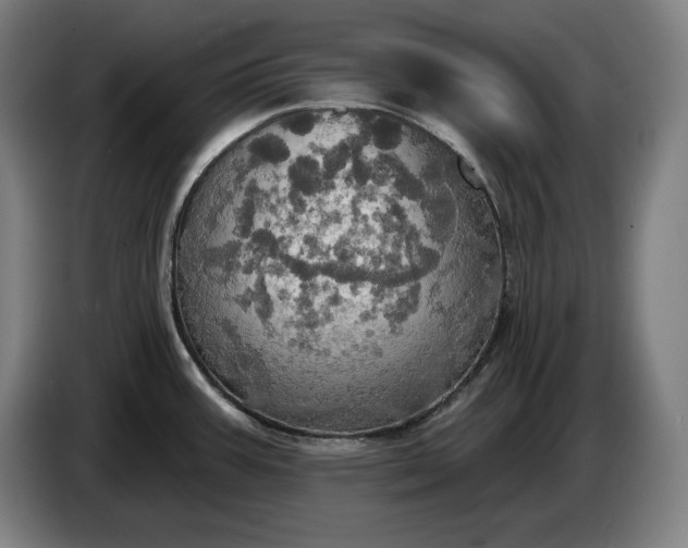 X0000087411387200705041239