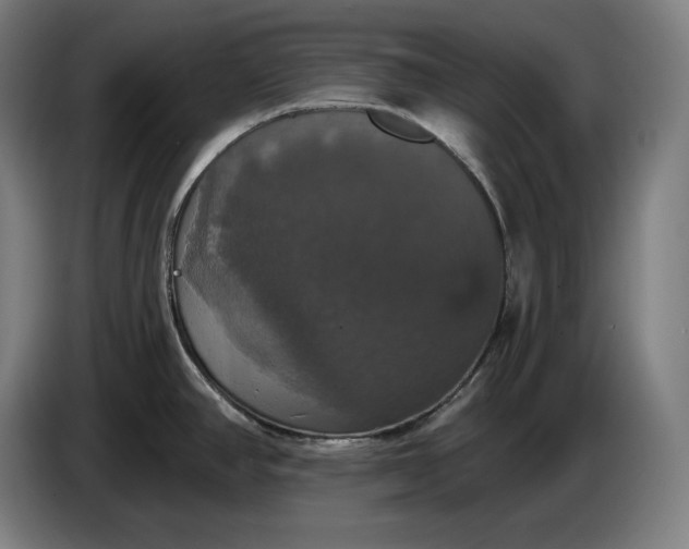 X0000087411390200705041239