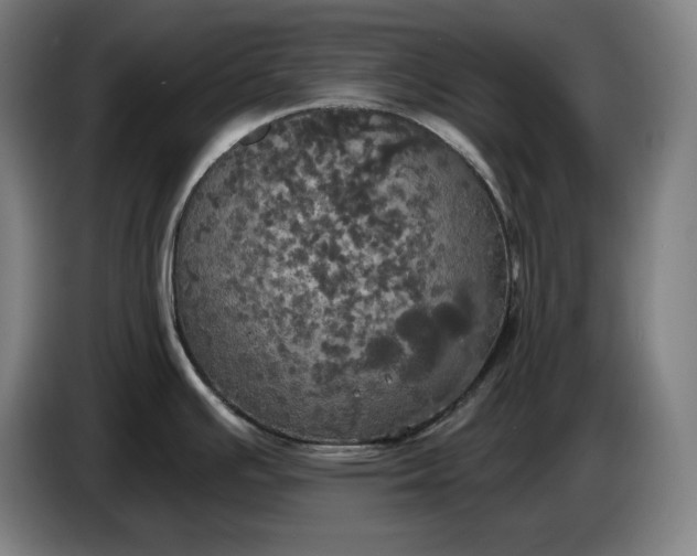 X0000087411391200705041239