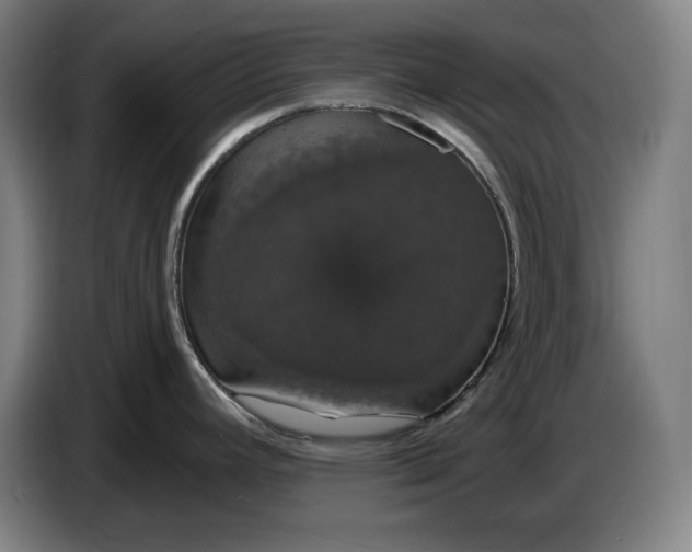 X0000087411392200705041239